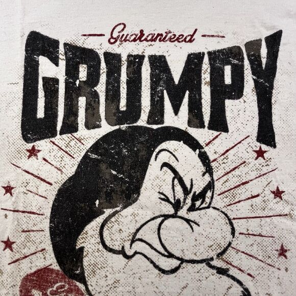 Disney Parks Lot of 2 Grumpy T-Shirts Adult M Gray & Tan Seven Dwarfs - Picture 3 of 13